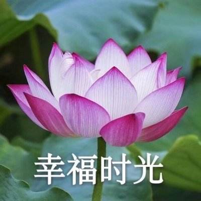 星际三国百度版下载
